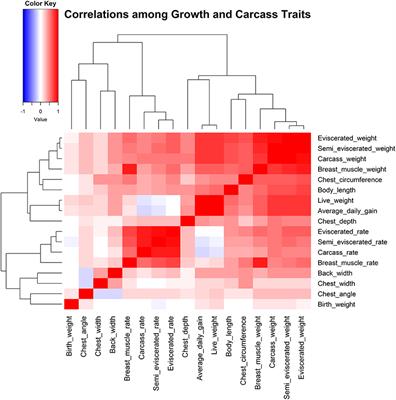 RNA Sequencing of the Pituitary Gland and Association Analyses Reveal PRKG2 as a Candidate Gene for Growth and Carcass Traits in Chinese Ningdu Yellow Chickens